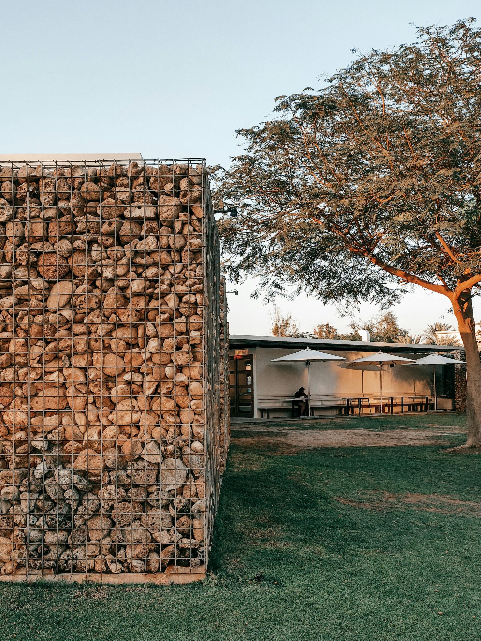 A stone wall structure and tree in a sunny park, captured in Dubai.
